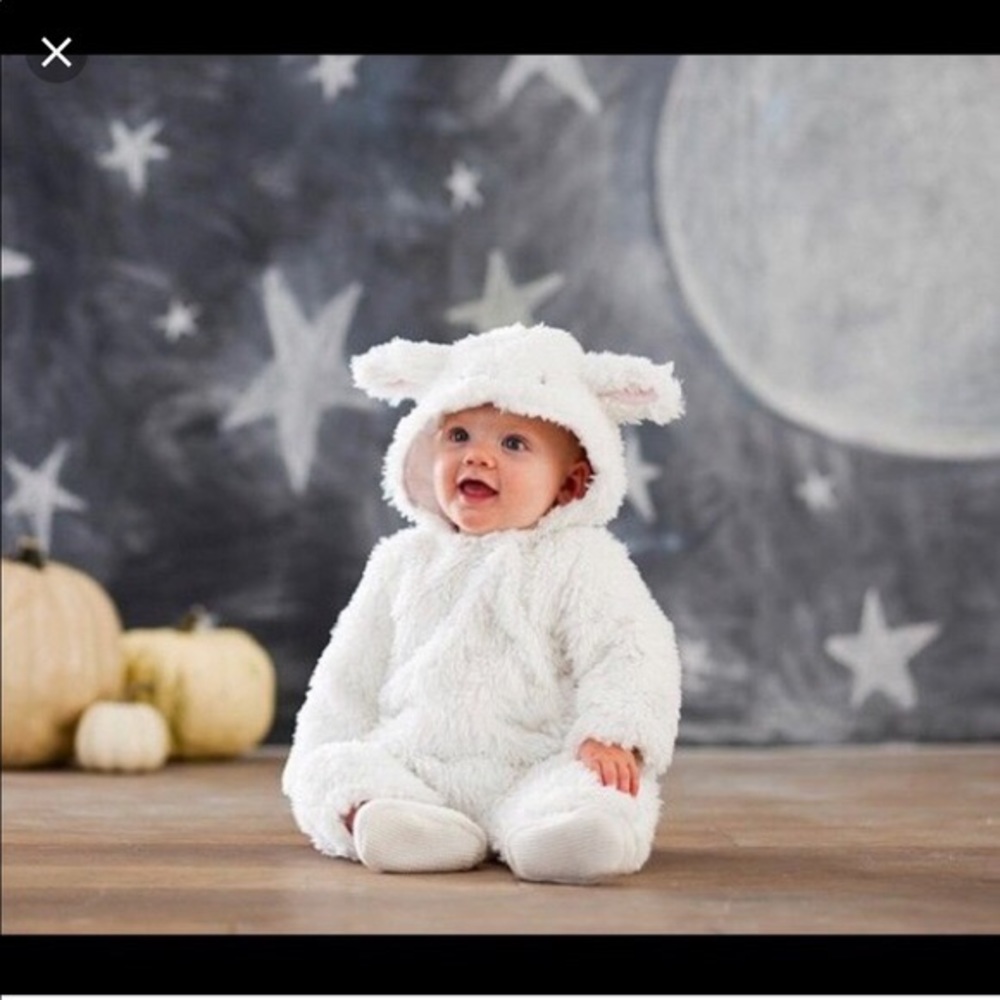 Pottery Barn Lamb (sheep) costume